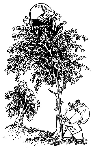 Черно-белое фото. Один коротышка в форме сидит на кроне дерева и кричит, второй внизу с очками на лбу качает это дерево.