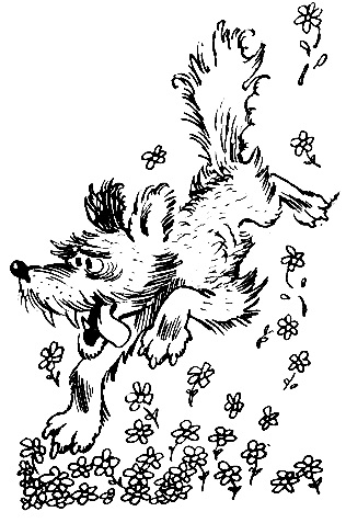 Черно-белое фото. Собака летит над цветочками разинув рот и высунув язык.