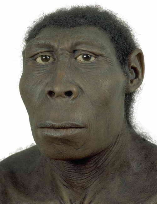 Человек Восточная Африка, 2 миллиона лет назад