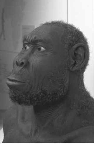 Человек Азия, 2 миллиона — 50 тысяч лет назад