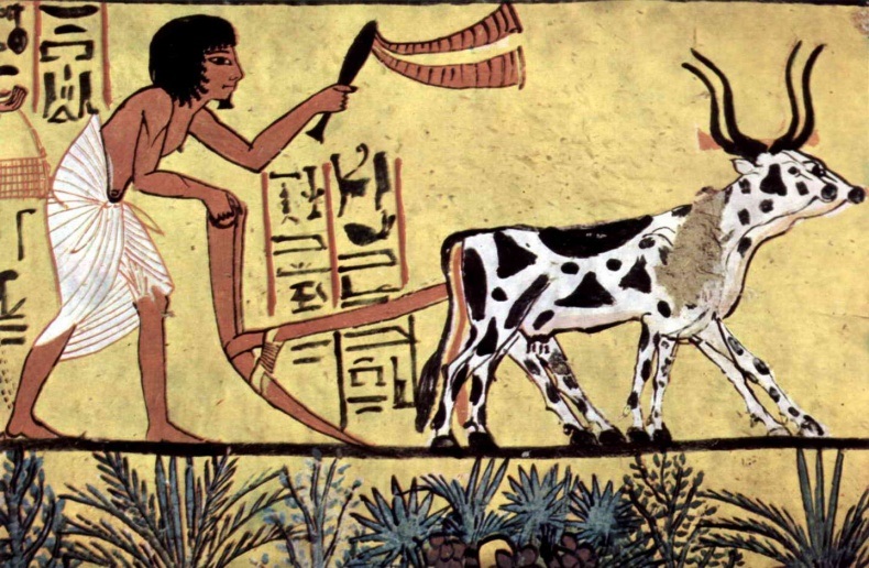 Рисунок из египетской гробницы