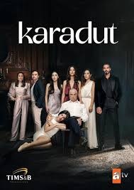 Турецкий сериал Чёрная Шелковица