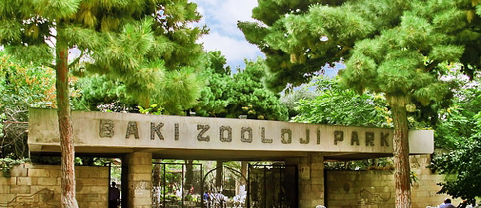 Зоопарк Баку